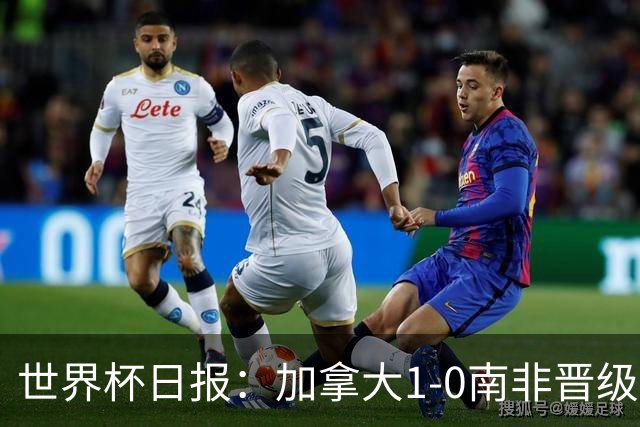 世界杯日报：加拿大1-0南非晋级创历史 韩国主帅洪明甫下课