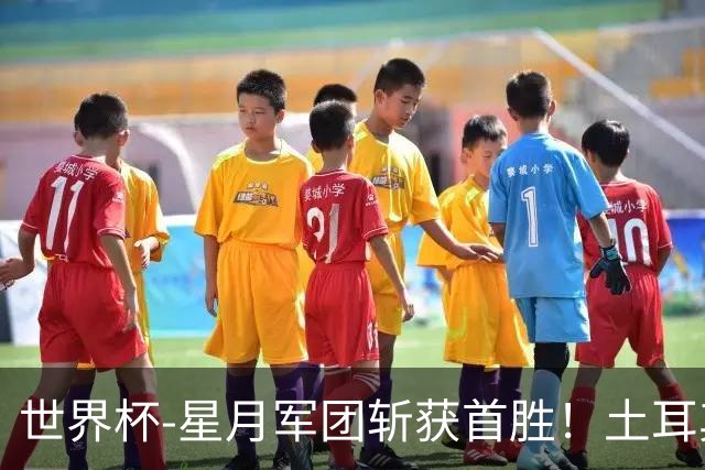 世界杯-星月军团斩获首胜！土耳其98分钟绝杀3-2美国